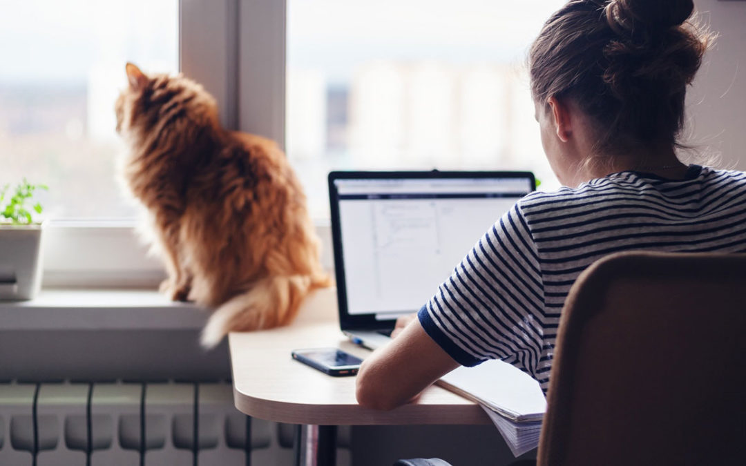 Wenn das Homeoffice vom Arbeitgeber gezahlt wird